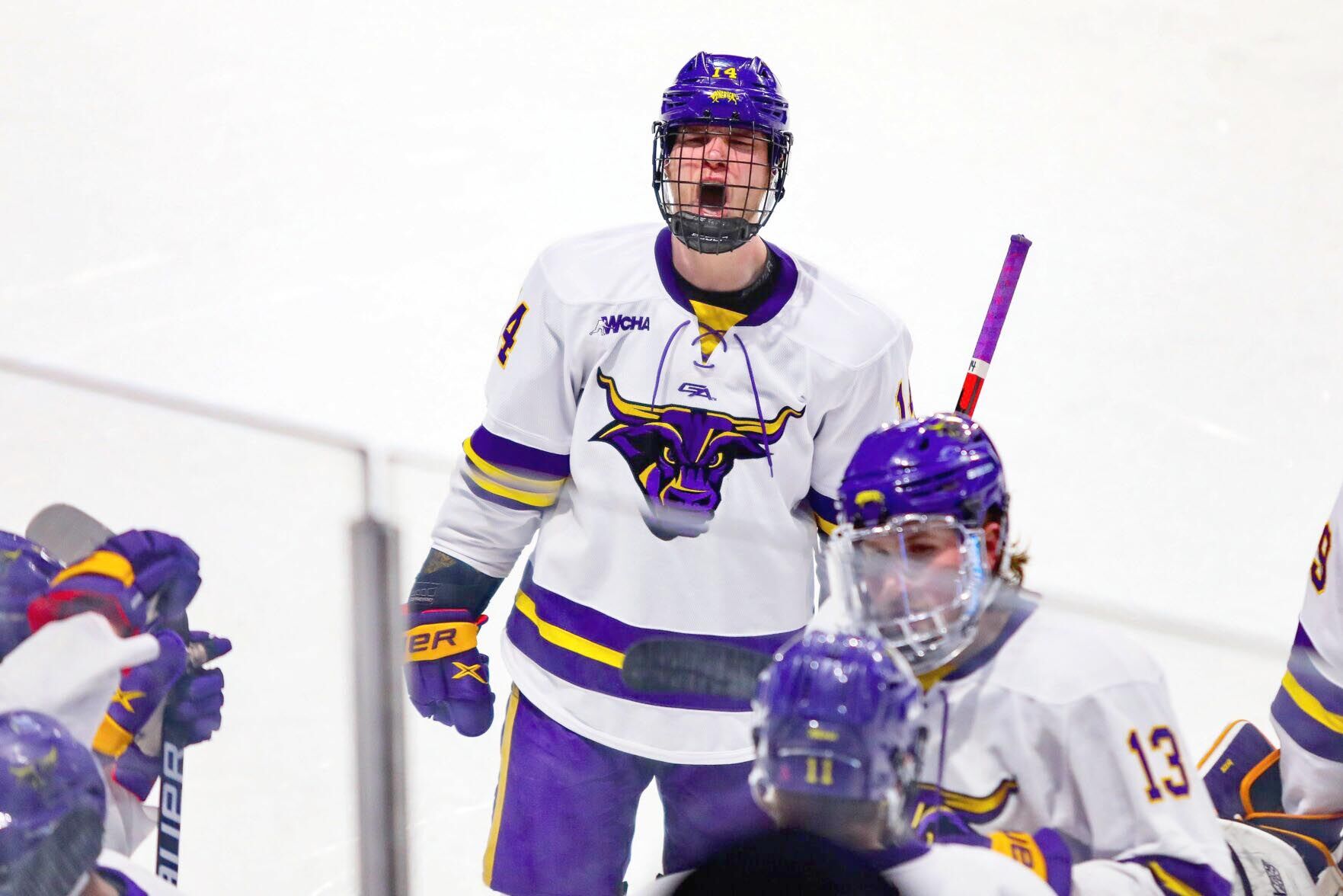 MSU men's hockey review regional 6